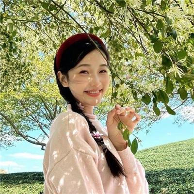 探案新窍门 第二季